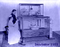 nursing informatics history canada evolution incubator revealing kwantlen